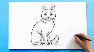 Cat Drawing 