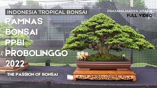 Pameran Nasional Bonsai Probolinggo 2022  The Passion Of Bonsai  Pamnas Bonsai Probolinggo