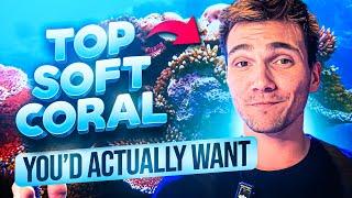 Top Soft Corals Youd ACTUALLY WANT