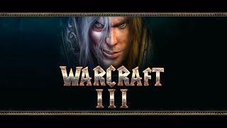 Warcraft III  4 августа 2019г 