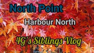 North Point  Habour North  Maple tree#roadto100subs #smallyoutuber