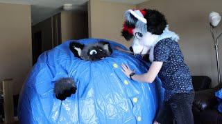 Unboxing Another Inflatable Blueberry Suit That You Can Roll In