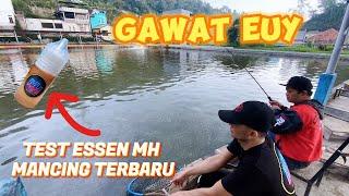 GASWAT EUY TEST ESSEN BARU MAIN GALATAMA IKAN MAS