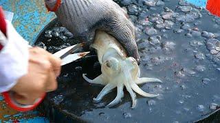 Cutting Live Cuttlefish in Sai Kung Seafood Market Hong Kong. Skillful & Unskillful