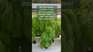 Pure Greens high output low energy LED lights. #AgTech #Farming #FarmTech #ContainerFarms #GrowTech