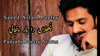 Phullan Da Haar Punjabi  Saeed Aslam Poetry  Punjabi Poetry Status 2023