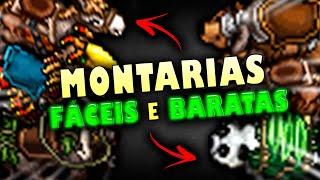 TIBIA -  5 MONTARIAS FÁCEIS E BARATAS  DOMEI TODAS EM MENOS DE 20 MINUTOS