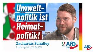 Was die Grünen machen ist keine Umweltpolitik