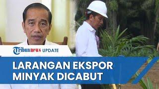 Presiden Jokowi Akhirnya Cabut Larangan Ekspor Minyak Sawit Mentah dan Migor Berlaku 23 Mei 2022