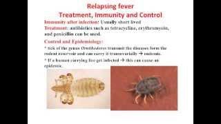 Relapsing fever  جامعة الباحة  د. محمد بن عبدالله آل قمبر  الحمى الراجعة