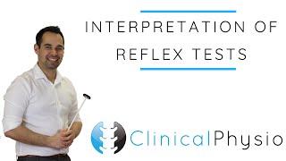 Interpretation of Reflex Tests  Clinical Physio