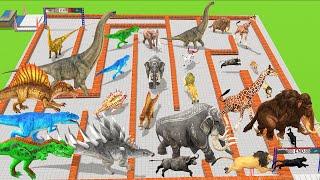 Which Animal vs Dinosaurs Speed Race Run Maze course Challenge Animal Revolt Battle Simulator