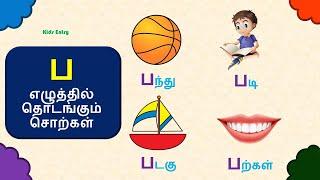 ப எழுத்தில் தொடங்கும் சொற்கள் ப எழுத்து சொற்கள் படங்கள் pa eluthil thodakum sorkal