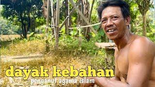 Mengenal suku dayak kebahan penganut agama islam dipedalaman kalimantan