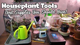 Houseplant Tools  Essentials For Indoor Plant Care