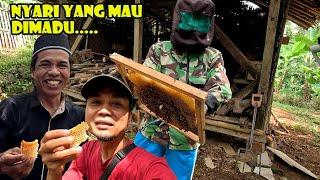 ALHAMDULILLAH..BENER-BENER KAMPUNG MADU TIAP HARI PANEN TERUS