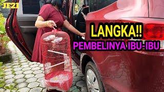 TERNYATA IBU-IBU JUGA DOYAN LOVEBIRD INI KEREN