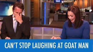 News Anchors Cant Stop Laughing At Goat Man