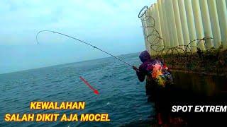 Mancing di Air panas PLTU Ancol Bahtera Jaya. bikin pemancing kewalahan