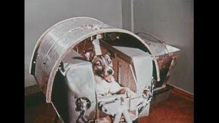Sovyetler Birliğinin 60 yıl önce uzaya gönderdiği ilk canlı Layka köpek