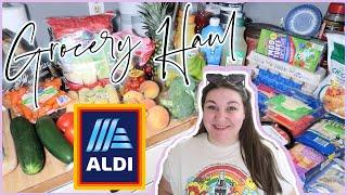 I WENT OVER BUDGET 1-Week Grocery Haul & Meal Plan  ALDI HAUL  July 2024