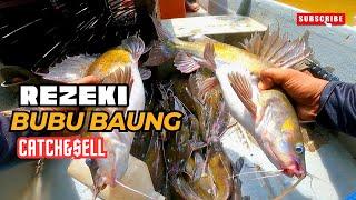 BUBU BAUNG CATCH AND SELL #vlog115 #unlimitedhobby #unlimitedfishing