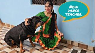 My dog need attention   oggy jerry ki dosti  funny dog videos