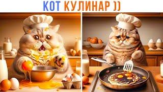 КОТ КУЛИНАР   Приколы с котами  Мемозг 1372