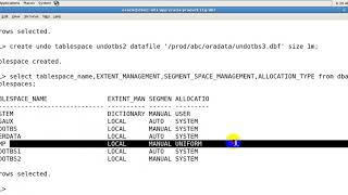 Oracle DBA Training4 Tablespace Management Part-2