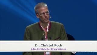 Big science team science open science in the service of basic neuroscience Dr. Christof Koch