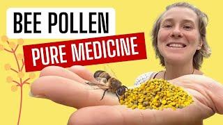 Benefits of Bee Pollen - 5 Reasons Why I Eat Raw Bee Pollen Everyday