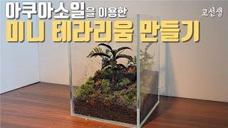 진짜 쉬운 미니 테라리움 만들기 How to make Terrarium with aquasoil