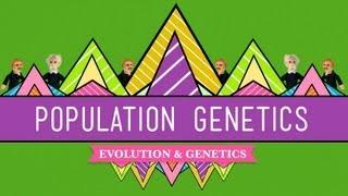 Population Genetics When Darwin Met Mendel - Crash Course Biology #18