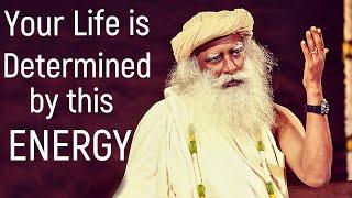 Sadhguru - Nobody Can Shake you If you take charge of your Prana