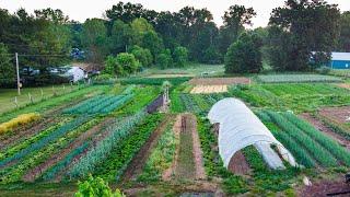 How to Start a Small Farm  A Step-by-Step Guide