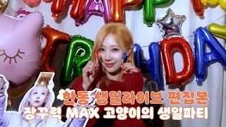 Dreamcatcher HANDONG 한동 생일 라이브 편집본  장꾸력 MAX 고양이의 생일파티 ENG