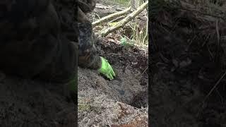 Храпит как трактор. #metaldetecting #history #коп #metaldetector #коп