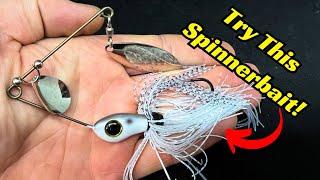 These Spinnerbaits Need To Be In Everyone’s Tackle Box They are that good