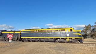 Victorian heritage locomotives S303 & T357 at Harefield in NSW.