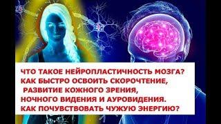 Что такое нейропластичность мозга Скорочтение развитие кожного зрения ночного видения и ауровидени