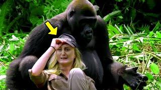 Gorilla Grabs a Woman In The Jungle. What The Primate Does To Her Next Is Shocking