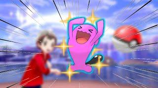 Shiny Wobbuffet after 865 Wild Encounters In Pokemon Sword and Shield