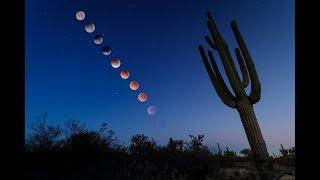 Lunar Eclipse 2018 - Timelapses from Tucson