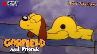  LIVE Garfield & Friends Specials 