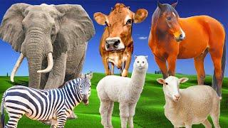 Herbivores - elephant cow horse goat giraffe - Animal sounds - Part 16