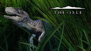 The Baby Utahraptor - The Isle