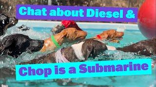 Chat About Diesel  Chop is a Submarine