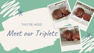 Meet Our Triplets  Name and Gender Reveal