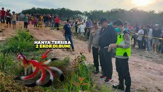 BERUSIA 330 TAHUN  Kemunculan Makhluk Misterius Ini Gegerkan Warga Sekampung 