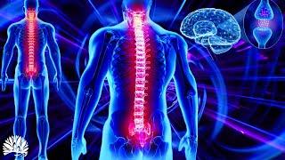 528hz Super Recovery  Healing Frequency Whole Body RegenerationCell Nerve Damage Repair  Healing
